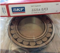 Cylindrical Roller Bearing